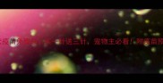 上海狂犬疫苗免费领买一针送三针宠物主必看附疫苗预约攻略