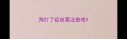 狗打了疫苗要注意啥