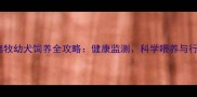 两个月大的德牧幼犬饲养全攻略健康监测科学喂养与行为训练指南