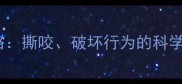 哈士奇拆家全攻略撕咬破坏行为的科学纠正与预防指南