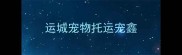 运城宠物托运宠鑫