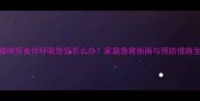 猫咪拒食伴呼吸急促怎么办家庭急救指南与预防措施全