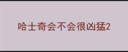 哈士奇会不会很凶猛