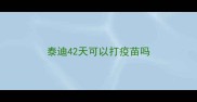 泰迪42天可以打疫苗吗