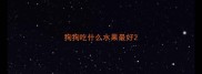 狗狗吃什么水果最好