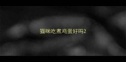 猫咪吃煮鸡蛋好吗