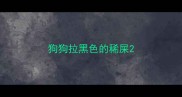 狗狗拉黑色的稀屎