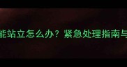 拉布拉多不能站立怎么办紧急处理指南与疾病预防全