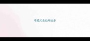 孝感犬舍拉布拉多