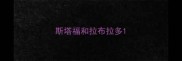 斯塔福和拉布拉多
