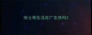 哈士奇生活在广东热吗