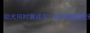 犬类成长关键期幼犬何时算成年科学解答养宠误区与饲养指南