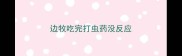 边牧吃完打虫药没反应