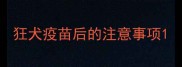 狂犬疫苗后的注意事项