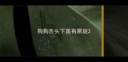 狗狗舌头下面有黑斑