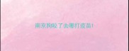 南京狗咬了去哪打疫苗