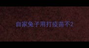 自家兔子用打疫苗不