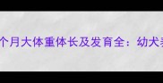 萨摩耶2个月大体重体长及发育全幼犬养护指南