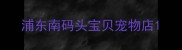 浦东南码头宝贝宠物店