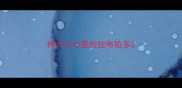 神犬小七里的拉布拉多