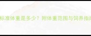 成年金毛犬标准体重是多少附体重范围与饲养指南附图