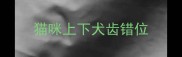 猫咪上下犬齿错位