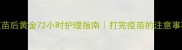 宠物疫苗后黄金72小时护理指南打完疫苗的注意事项全攻略