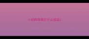 小奶狗需要打什么疫苗