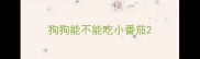 狗狗能不能吃小番茄