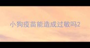 小狗疫苗能造成过敏吗