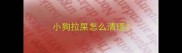 小狗拉屎怎么清理