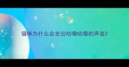 猫咪为什么会发出咕噜咕噜的声音