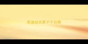 泰迪幼犬鼻子干拉稀