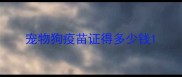 宠物狗疫苗证得多少钱