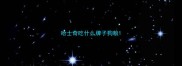哈士奇吃什么牌子狗粮