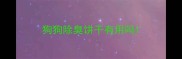狗狗除臭饼干有用吗
