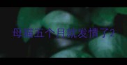 母猫五个月就发情了
