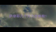 萨摩耶几个月大改换粮