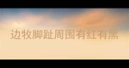 边牧脚趾周围有红有黑