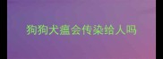 狗狗犬瘟会传染给人吗
