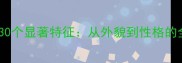 幼犬拉布拉多的30个显著特征从外貌到性格的全周期饲养指南