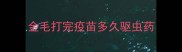 金毛打完疫苗多久驱虫药