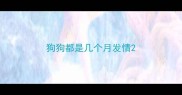 狗狗都是几个月发情