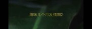 猫咪几个月发情期
