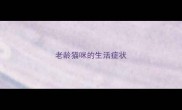 老龄猫咪的生活症状