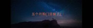 五个月狗门牙掉了