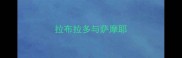 拉布拉多与萨摩耶