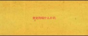 泰迪狗喝什么补钙