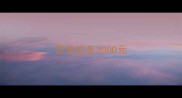 拉布拉多3000元