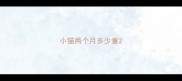 小猫两个月多少重